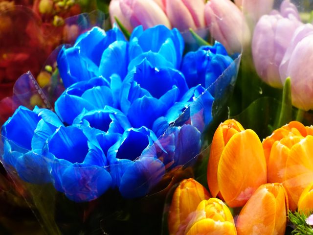 花墟道 Flower Market Road