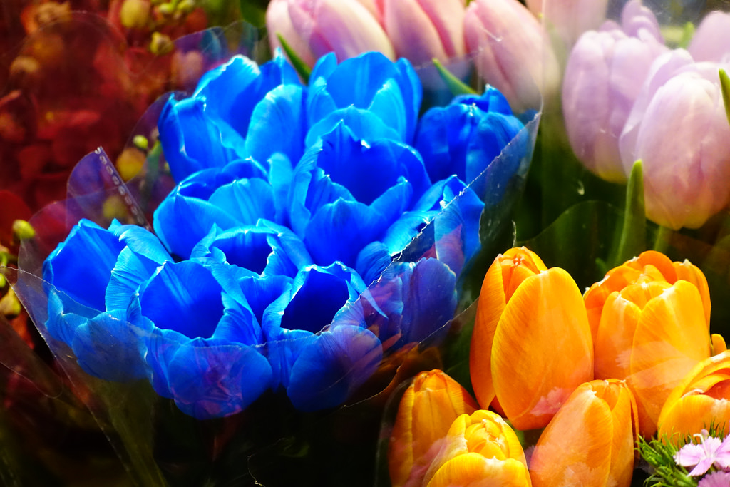 花墟道 Flower Market Road