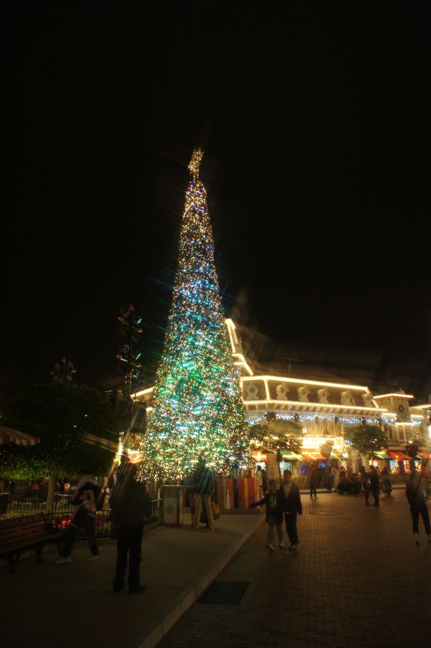 disneyland_xmas_2012_05